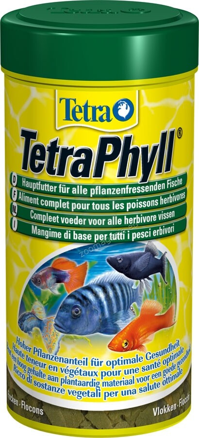 Tetra+TetraPhyll